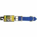 Boss Pet Digger's Dog Collar, 22 in L, 1 in W, Nylon, Blue 2952202